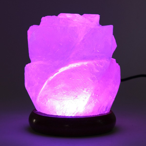 Himalayan Natural Crystal Rose Salt Lamps Bulb Night Light Ionic Purifier Gifts